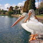 Preferred Coral Springs Florida Hotels