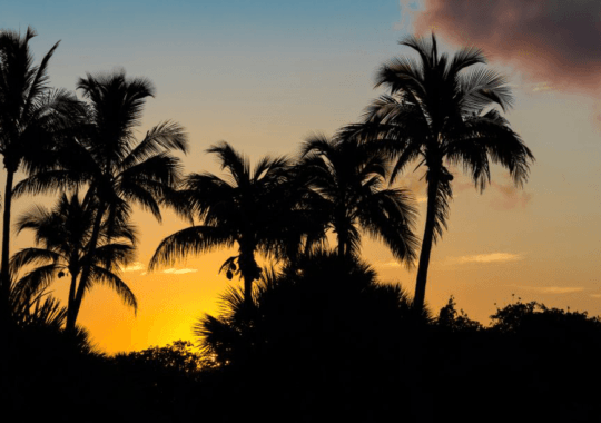 Exciting Things to Do in Sanibel, Florida
