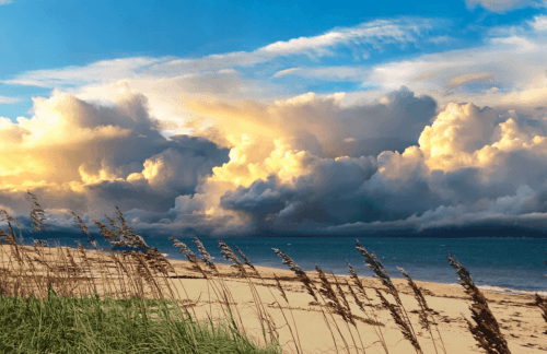 Places to Visit in Vero Beach, Florida