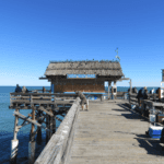 The Best Tourist Spots in Cocoa Beach, Florida