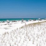 The Exotic Wonders of Panama City Beach, Florida