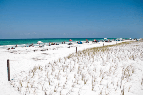Things To Do In The City Of Panama City Beach Florida