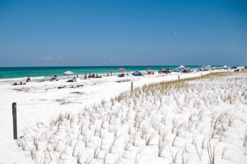 The Exotic Wonders of Panama City Beach, Florida