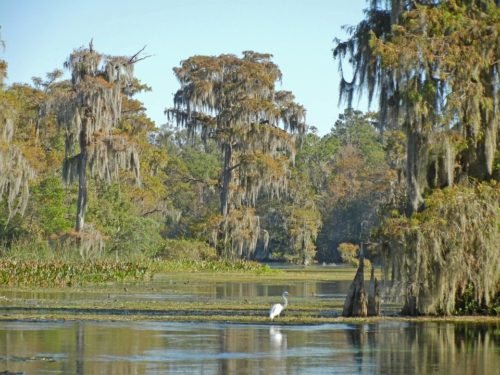 State Park in Northwest Florida