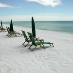 Florida’s Red Tide: What You Need to Know to Stay Safe