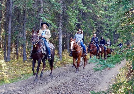 Beautiful Horseback Riding Trails in Florida, Something for Everyone