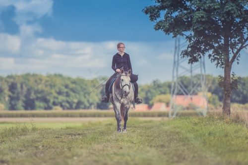 Florida Riding Trails