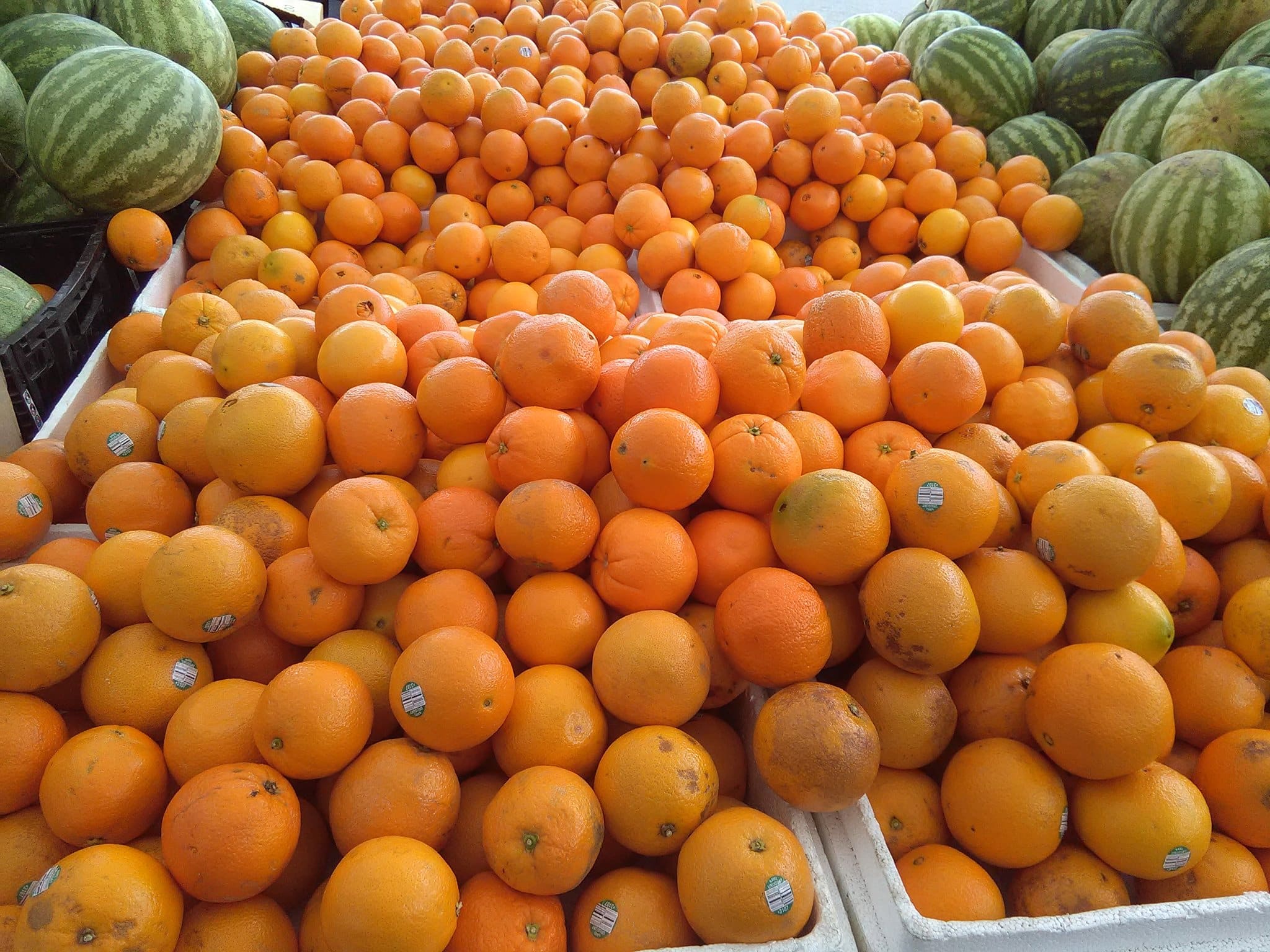 Barbour’s Produce in stuart florida 