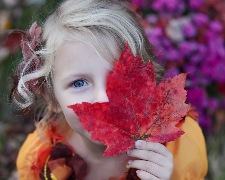 16 Free Jacksonville Attractions for Kids This November