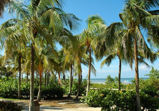 Did You Miss Our Most Popular Florida Posts of 2018?