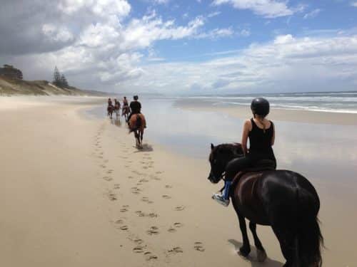 beach horse