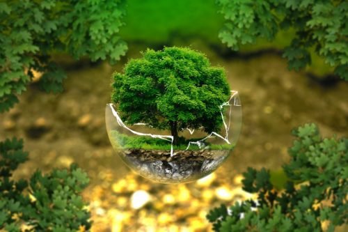 global warming