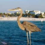 Enjoy a tranquil escape with shaded walk trails near St. Pete/Clearwater Beach, Florida