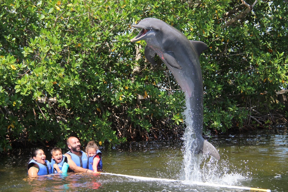 Dolphin tour in florida FloridaEscape