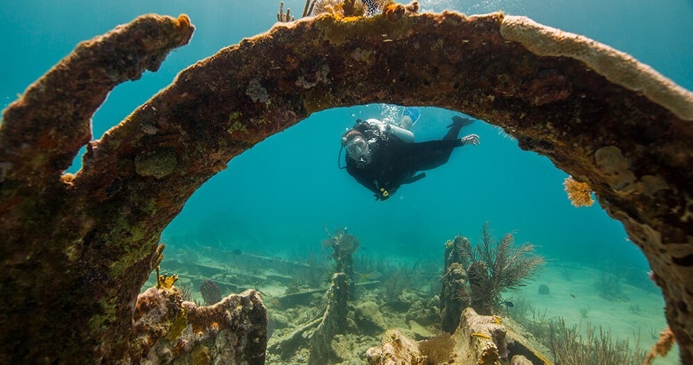 diver exploring a shipwreck on the Shipwreck Trail