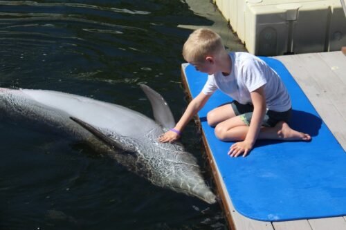 must do in key largo florida