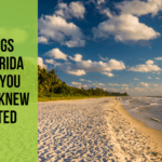 19 Things in Florida That You Never Knew Existed