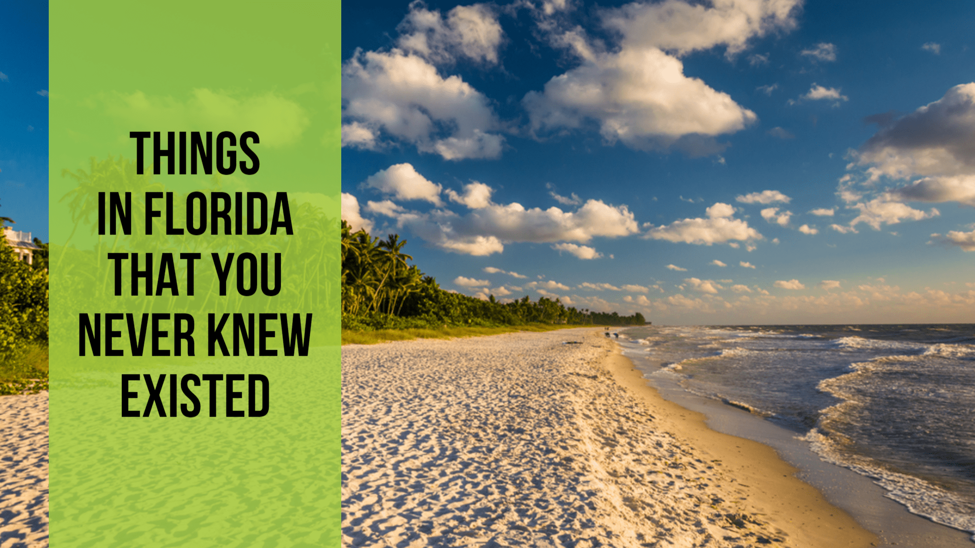 Things in Florida That You Never Knew Existed