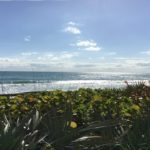 Enjoy History And Nature At Canaveral National Seashore