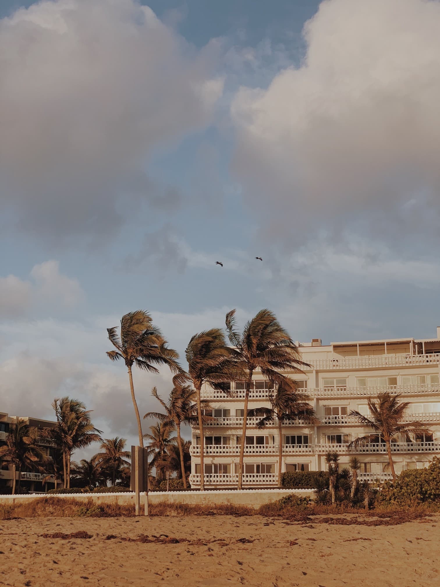 west palm beach area downtown