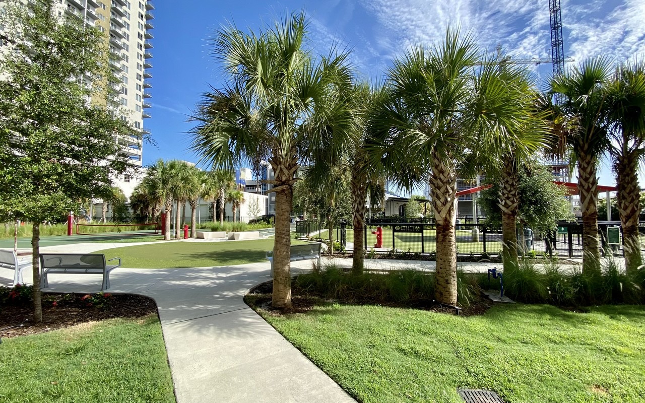 walking at madison street park tampa