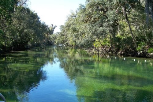 blue springs in florida