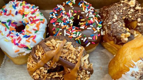 best island donuts in st augustine beach florida