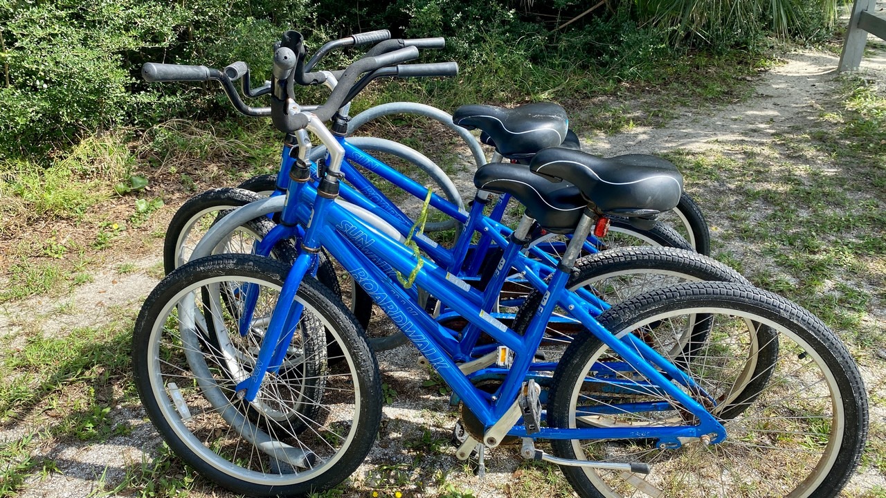 bicycles at Anastacia park in st augustine florida