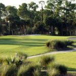 Take Part In The Unending Golf Season In Daytona Beach