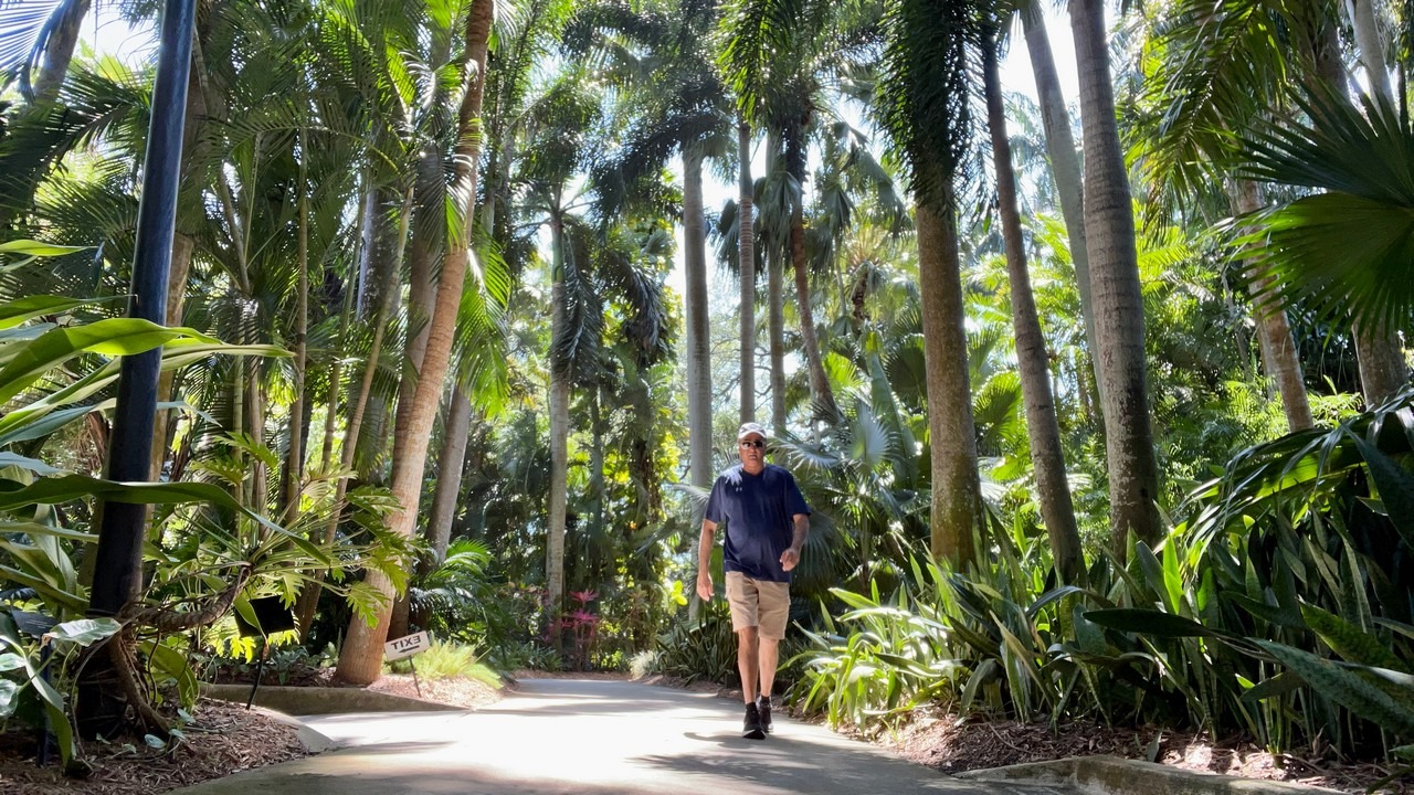 sunken gardens florida st.pete