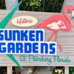 Sunken Gardens: Experience Nature Right In the Heart Of The St. Petersburg