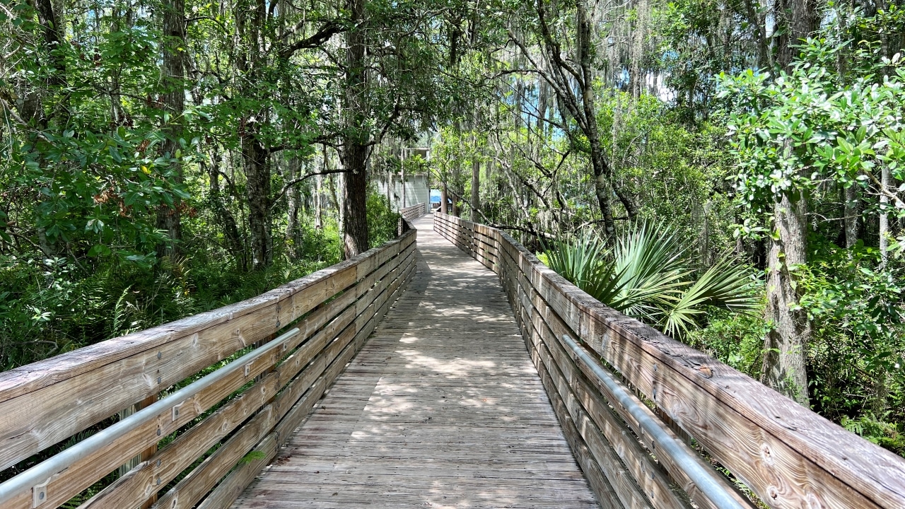 Go on the Guided Bike Ride through Clermont