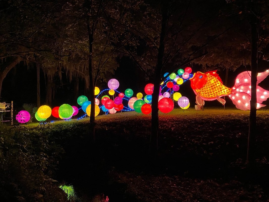 Asian Lantern Festival Into the Wild.