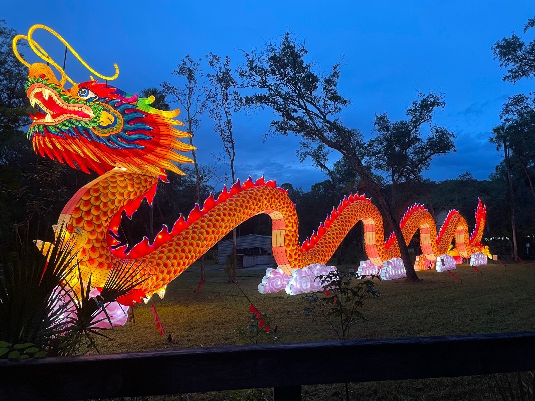 At Central Florida Zoo & Botanical Gardens, you shouldn't miss out on the Asian Lantern Festival Into the Wild.