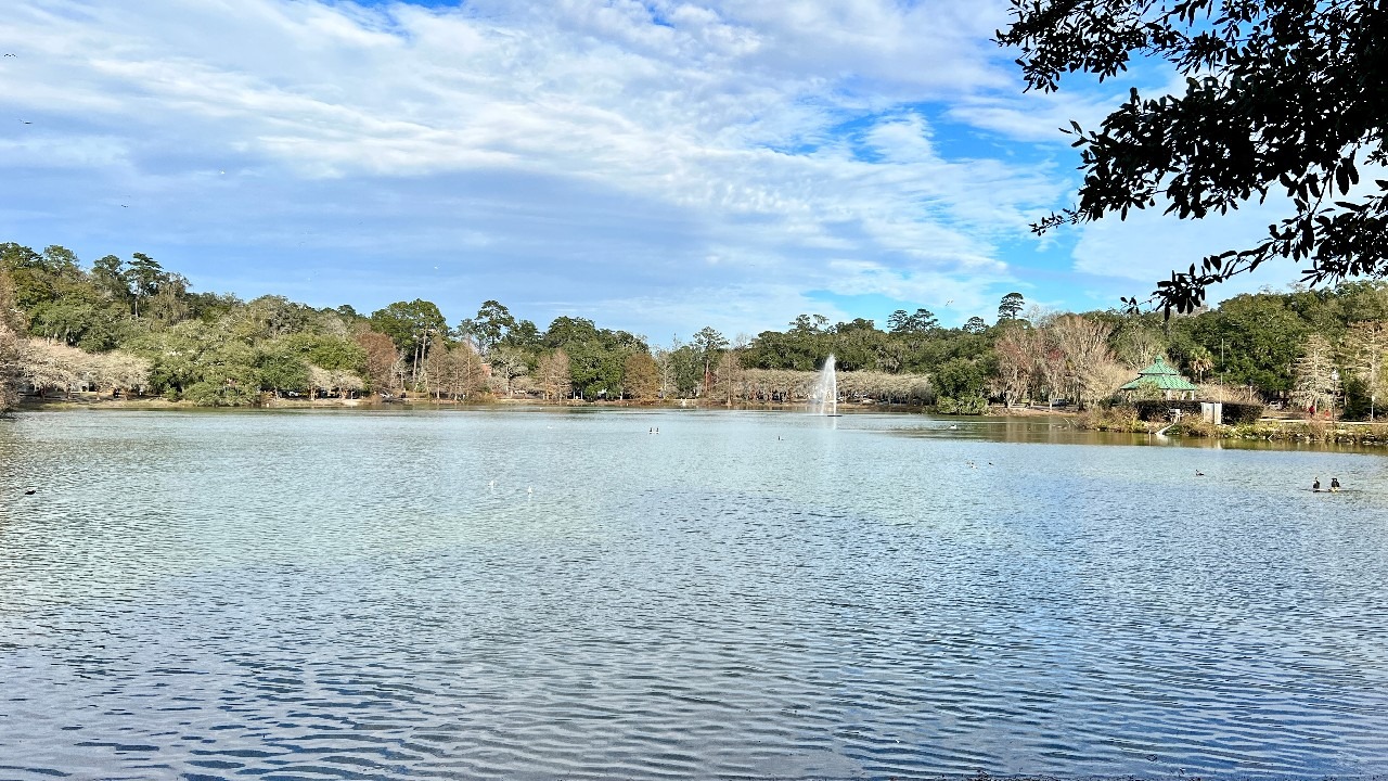 views at lake ella in tallahassee florida