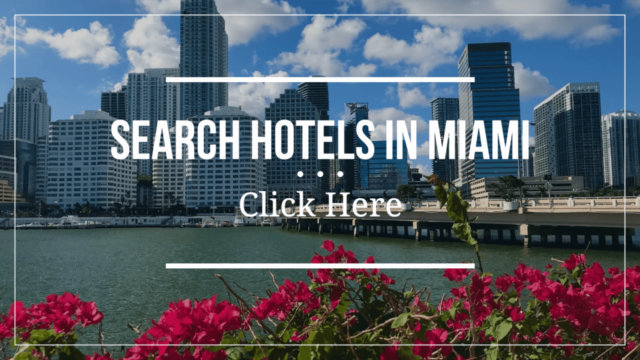 Search Hotels in Miami Florida