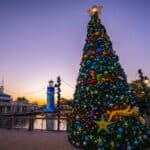 7 Things You Need to Know if Visiting Florida During Christmas