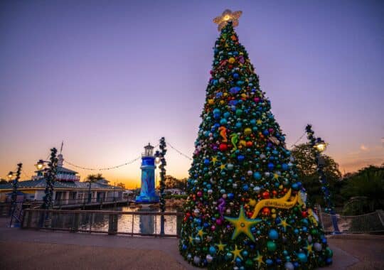 7 Things You Need to Know if Visiting Florida During Christmas