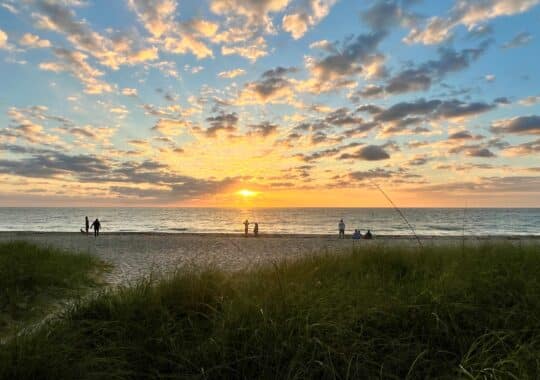 Unwind Like Never Before: Florida Escapes and Dreamy Vacations