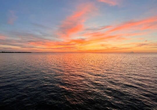 New Year, New Adventures at St. Pete Pier: Your 2025 Guide to Fun and Fitness