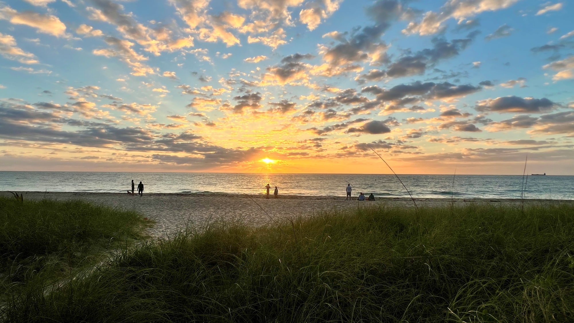 Florida Uncovered