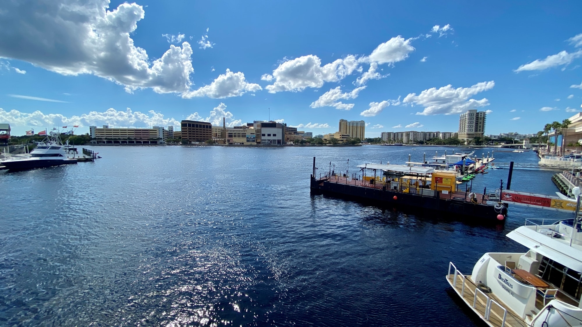  Tampa Florida 