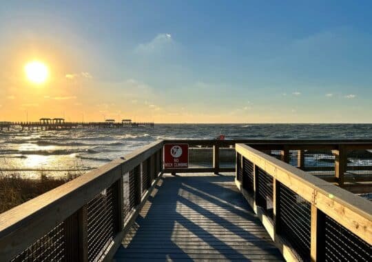 Florida Travel Highlights: 5 Stories That Inspire Your Next Getaway
